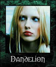 Dandelion - Ravnos