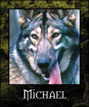 Michael - Ravnos Ghoul